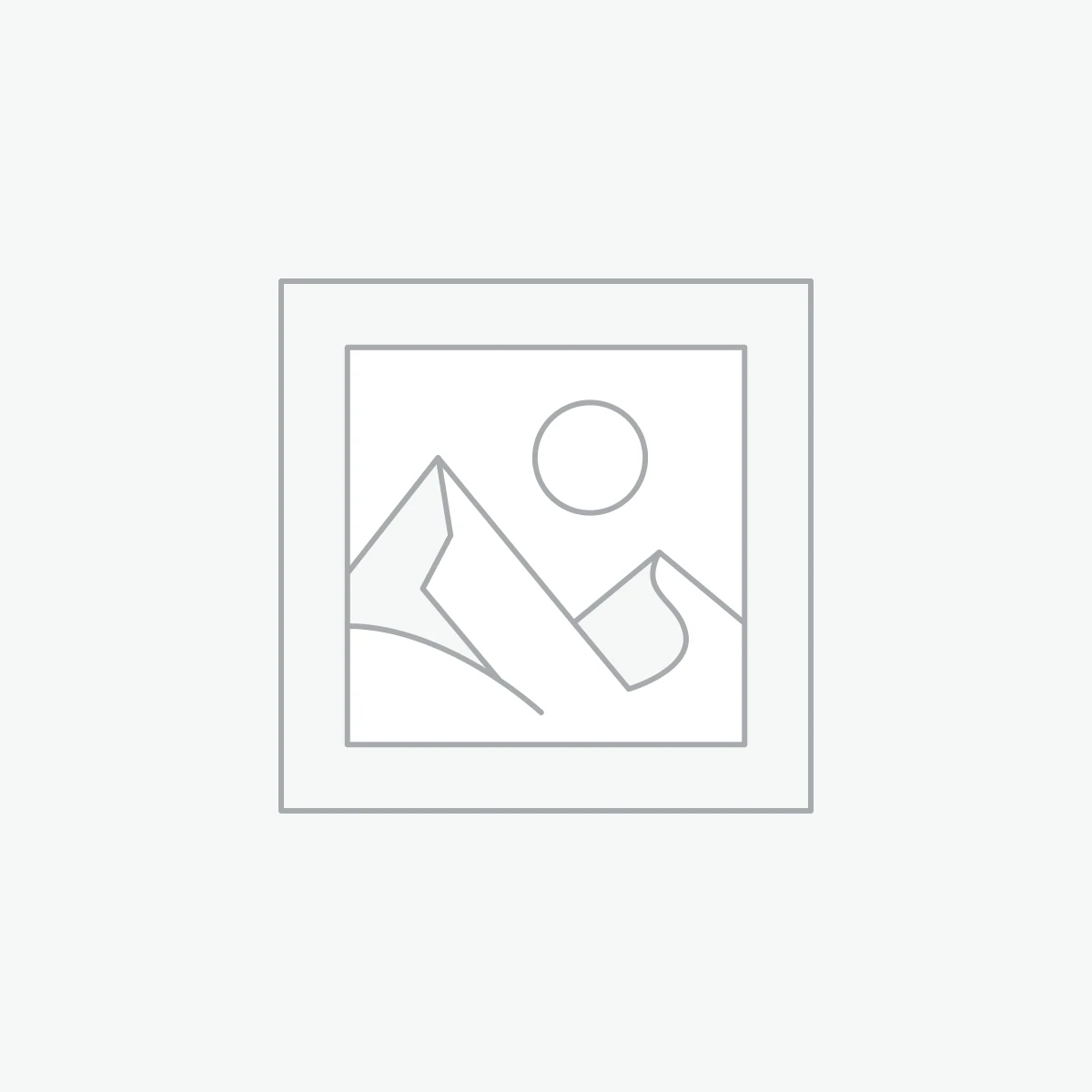 Pet Transport Services